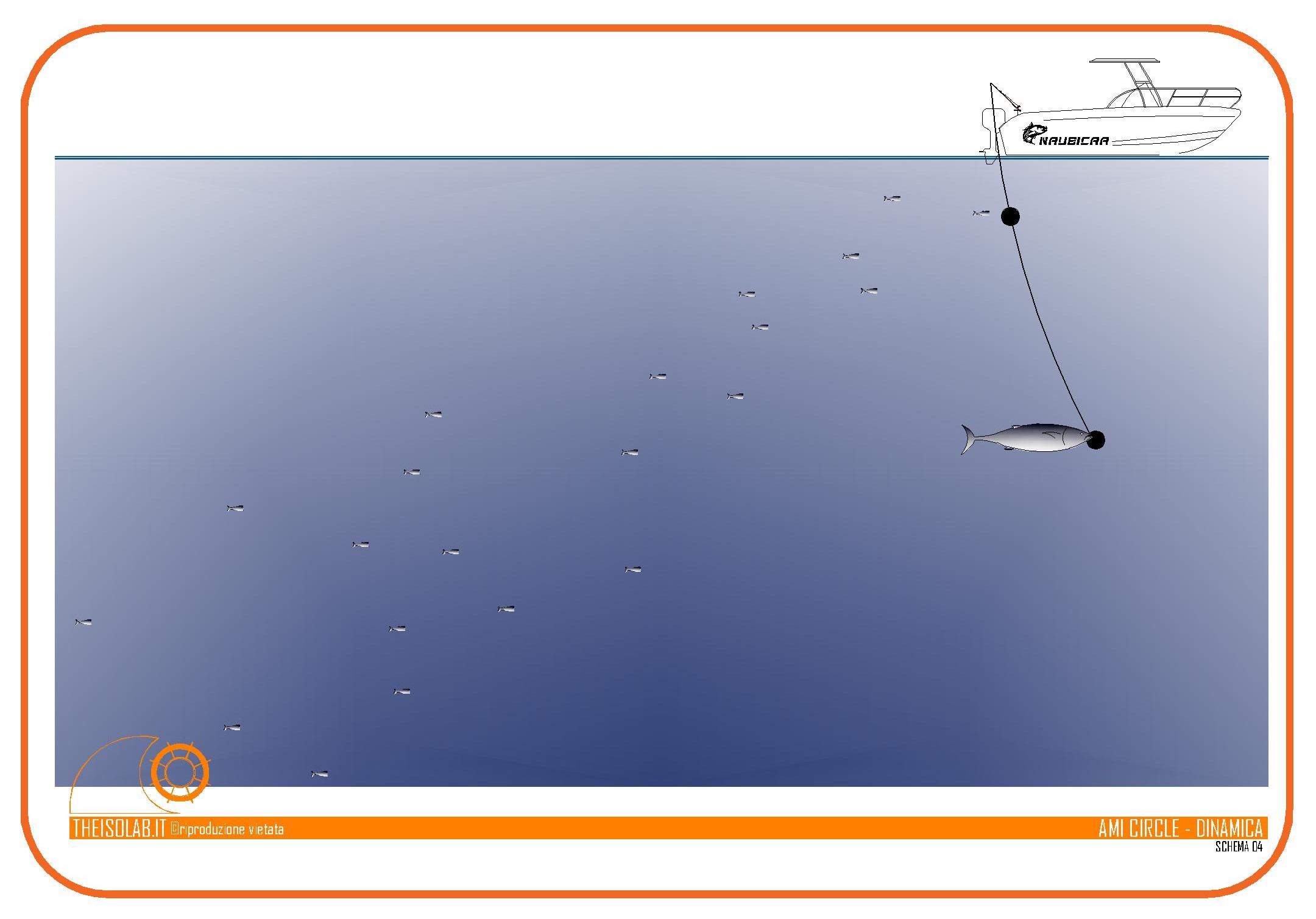 Dinamica ferrata amo circle nella pesca al tonno rosso