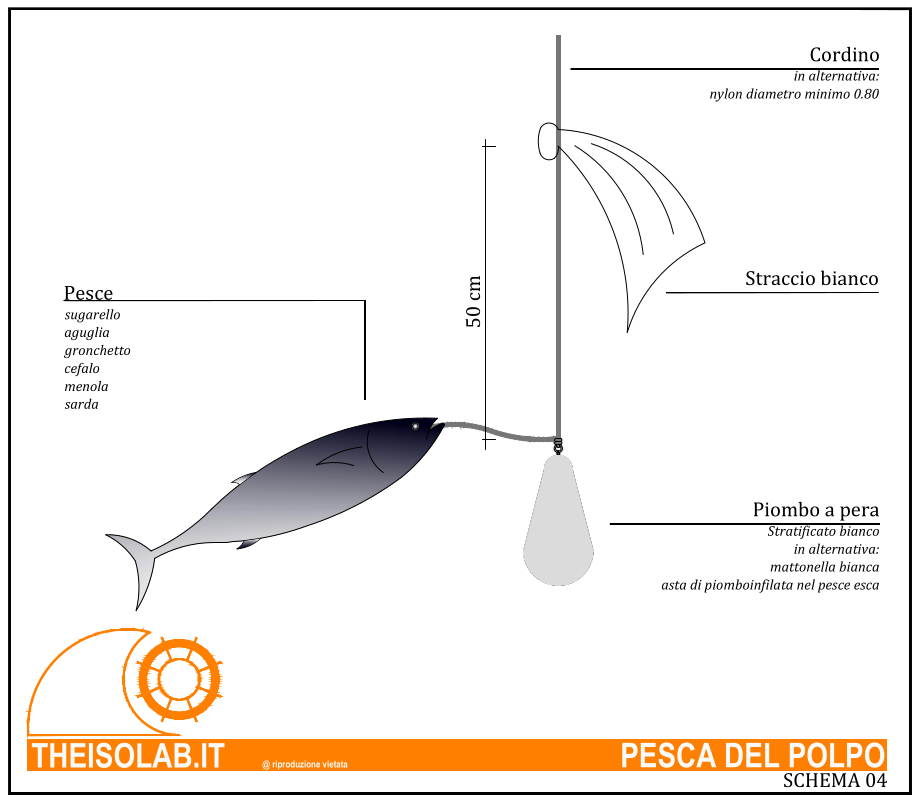 Terminale per la pesca del polpo